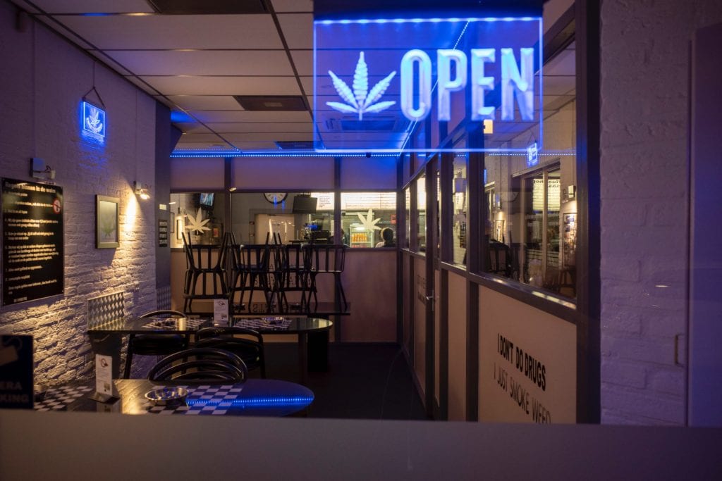 New Mexico Cannabis Business Formation