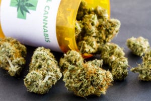 Administrative Litigation for Medical Cannabis License Holders